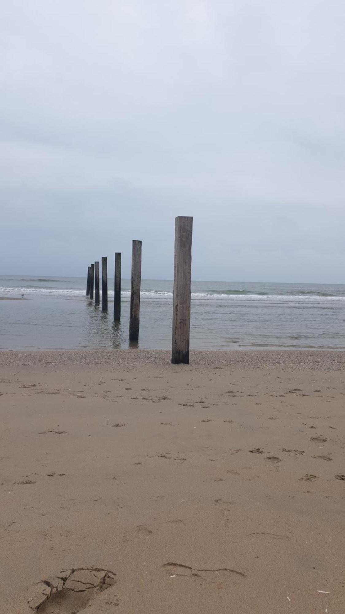 Rembrandts Beach View Zandvoort Ngoại thất bức ảnh
