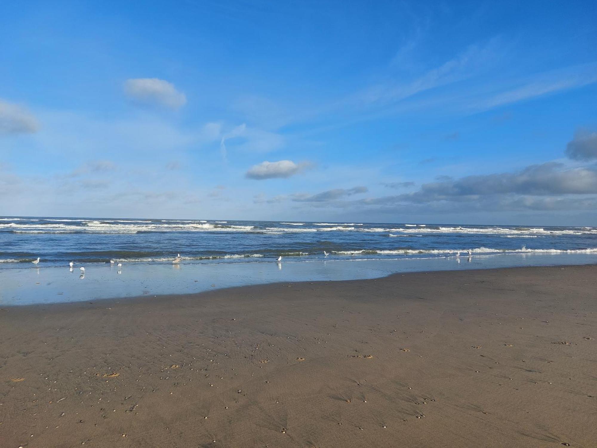 Rembrandts Beach View Zandvoort Phòng bức ảnh